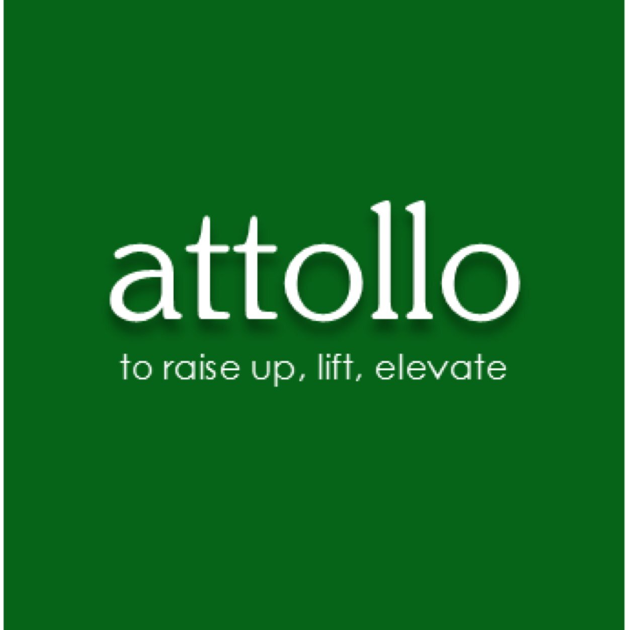 Attollo Social Capital  Image