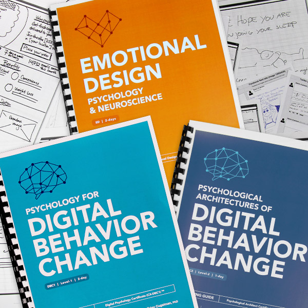 Digital Psychology & Emotional Design  - Training Week (Chicago) Image